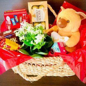 Bolsa Urso Mimo