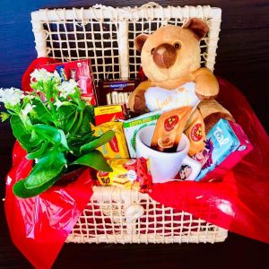 Bau Tampa Reta Urso Mimo